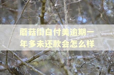 蘑菇街白付美逾期一年多未还款会怎么样