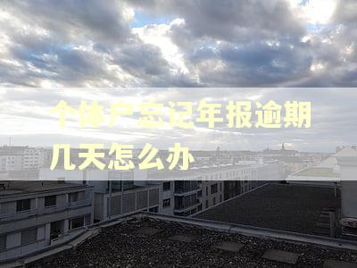 个体户忘记年报逾期几天怎么办