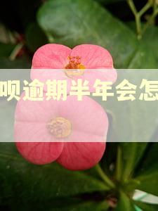 花呗逾期半年会怎么样