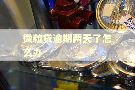微粒贷逾期两天了怎么办
