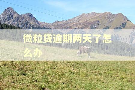 微粒贷逾期两天了怎么办