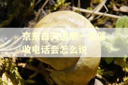 京东白天逾期一天催收电话会怎么说