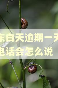京东白天逾期一天催收电话会怎么说