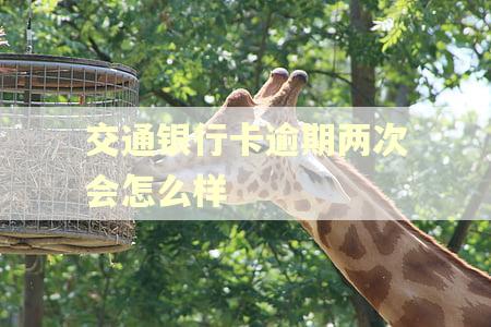 交通银行卡逾期两次会怎么样