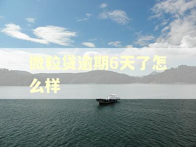 微粒贷逾期6天了怎么样