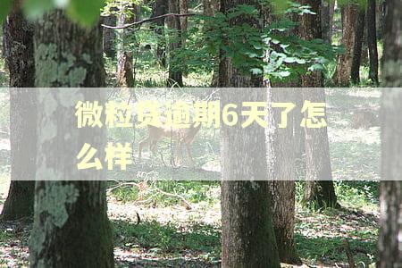 微粒贷逾期6天了怎么样