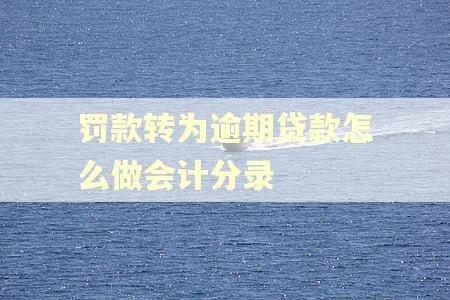 罚款转为逾期贷款怎么做会计分录