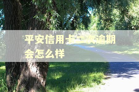 平安信用卡二次逾期会怎么样 平安信用卡二次逾期会怎么样