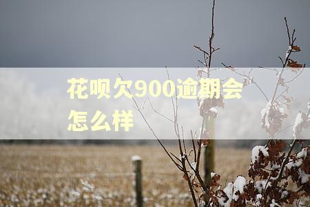 花呗欠900逾期会怎么样