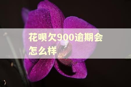 花呗欠900逾期会怎么样