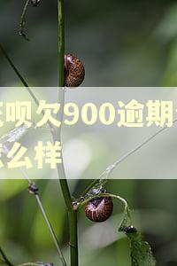 花呗欠900逾期会怎么样