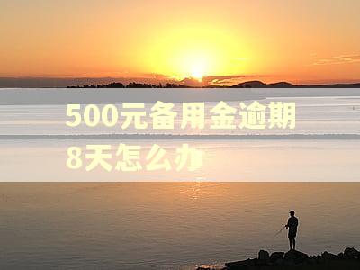 500元备用金逾期8天怎么办