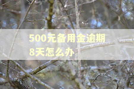 500元备用金逾期8天怎么办