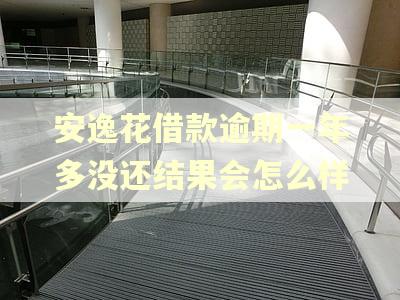 安逸花借款逾期一年多没还结果会怎么样