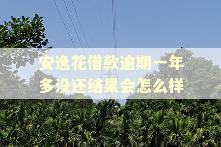 安逸花借款逾期一年多没还结果会怎么样