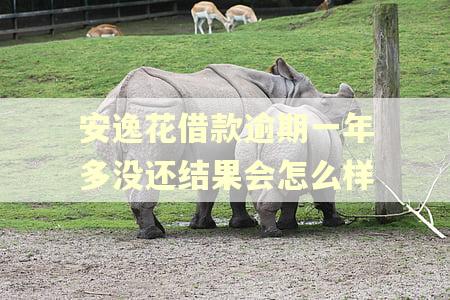 安逸花借款逾期一年多没还结果会怎么样