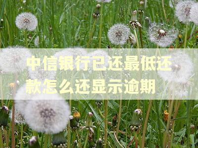 中信银行已还最低还款怎么还显示逾期