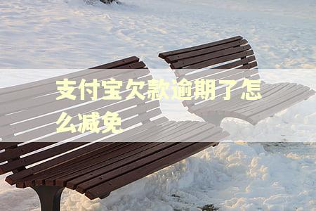 支付宝欠款逾期了怎么减免