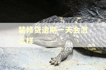 装修贷逾期一天会怎么样