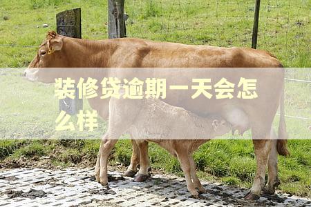 装修贷逾期一天会怎么样
