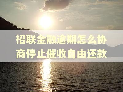 招联金融逾期怎么协商停止催收自由还款