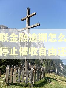 招联金融逾期怎么协商停止催收自由还款