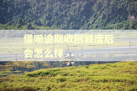 借呗逾期收回额度后会怎么样 借呗逾期收回额度后会怎么样