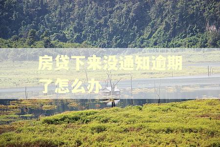 房贷下来没通知逾期了怎么办