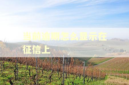 当前逾期怎么显示在征信上