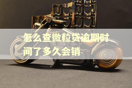 怎么查微粒贷逾期时间了多久会销