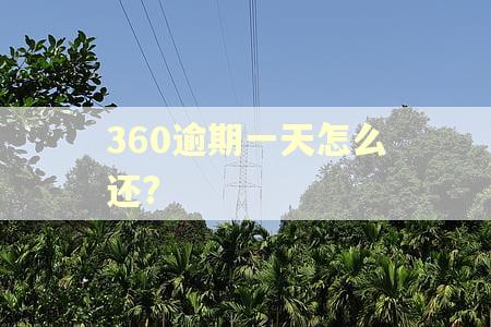 360逾期一天怎么还?