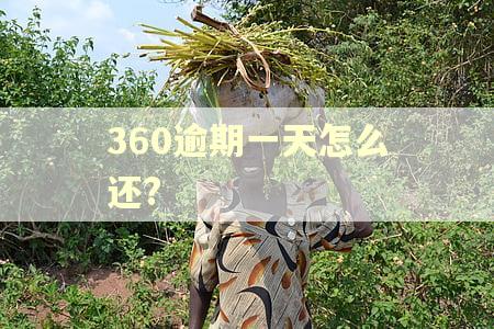 360逾期一天怎么还? 360逾期一天怎么还?