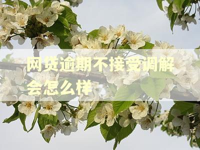 网贷逾期不接受调解会怎么样 网贷逾期不接受调解会怎么样
