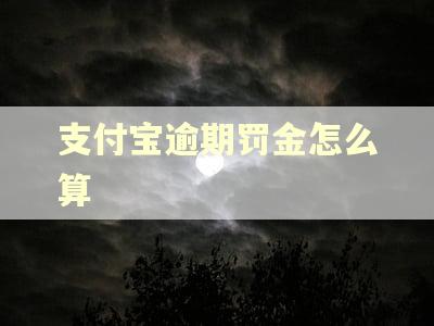 支付宝逾期罚金怎么算 支付宝逾期罚金怎么算
