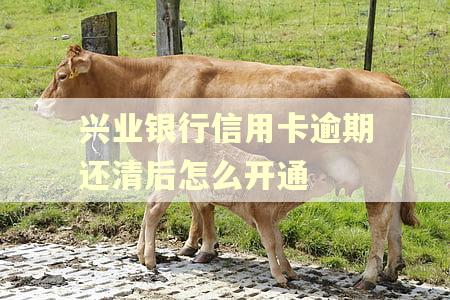兴业银行信用卡逾期还清后怎么开通