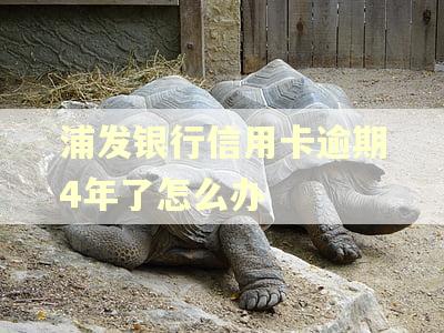 浦发银行信用卡逾期4年了怎么办