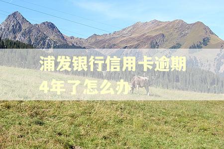 浦发银行信用卡逾期4年了怎么办