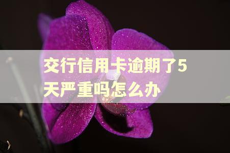 交行信用卡逾期了5天严重吗怎么办