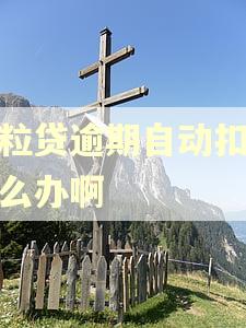 微粒贷逾期自动扣款怎么办啊