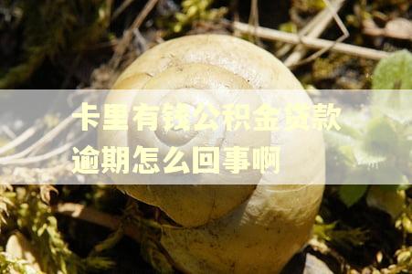 卡里有钱公积金贷款逾期怎么回事啊