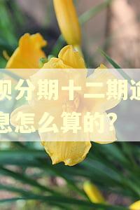 花呗分期十二期逾期利息怎么算的?