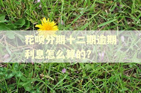 花呗分期十二期逾期利息怎么算的?