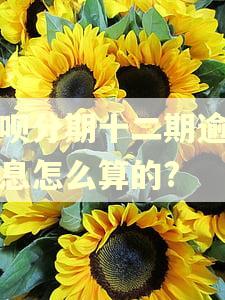 花呗分期十二期逾期利息怎么算的? 花呗分期十二期逾期利息怎么算的?