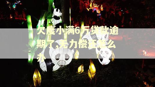 欠度小满6万贷款逾期了,无力偿还怎么办