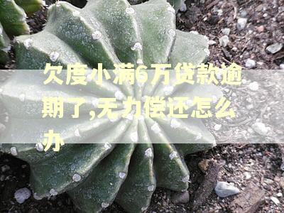 欠度小满6万贷款逾期了,无力偿还怎么办