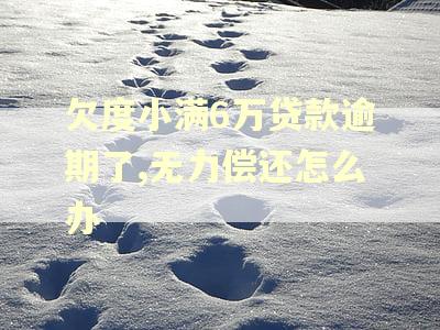 欠度小满6万贷款逾期了,无力偿还怎么办 欠度小满6万贷款逾期了,无力偿还怎么办