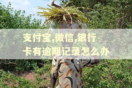 支付宝,微信,银行卡有逾期记录怎么办