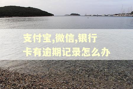 支付宝,微信,银行卡有逾期记录怎么办