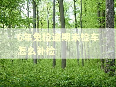 6年免检逾期未检车怎么补检