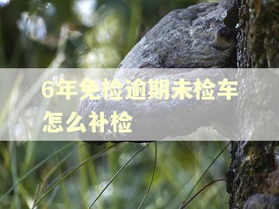 6年免检逾期未检车怎么补检